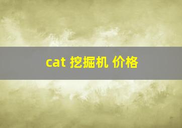 cat 挖掘机 价格